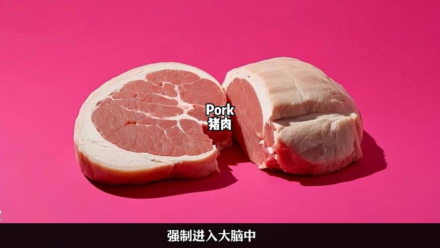 pork除了猪肉还有什么意思