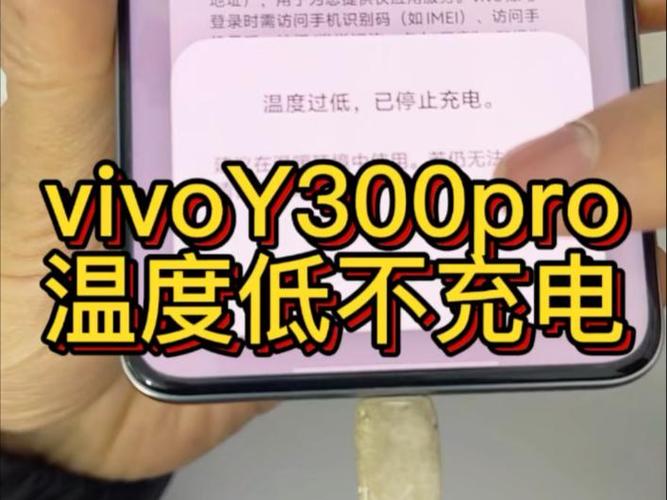vivo温度低停止充电咋办