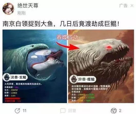 养鲲