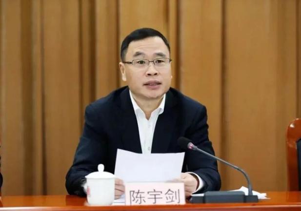 陈宇剑被免去上海副市长职务截图