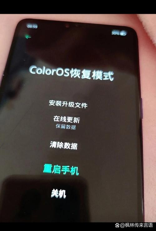 手机进入了coloros恢复模式