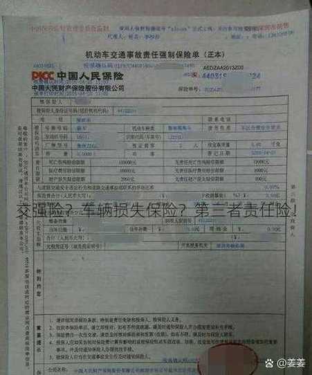 如何查询车险保单