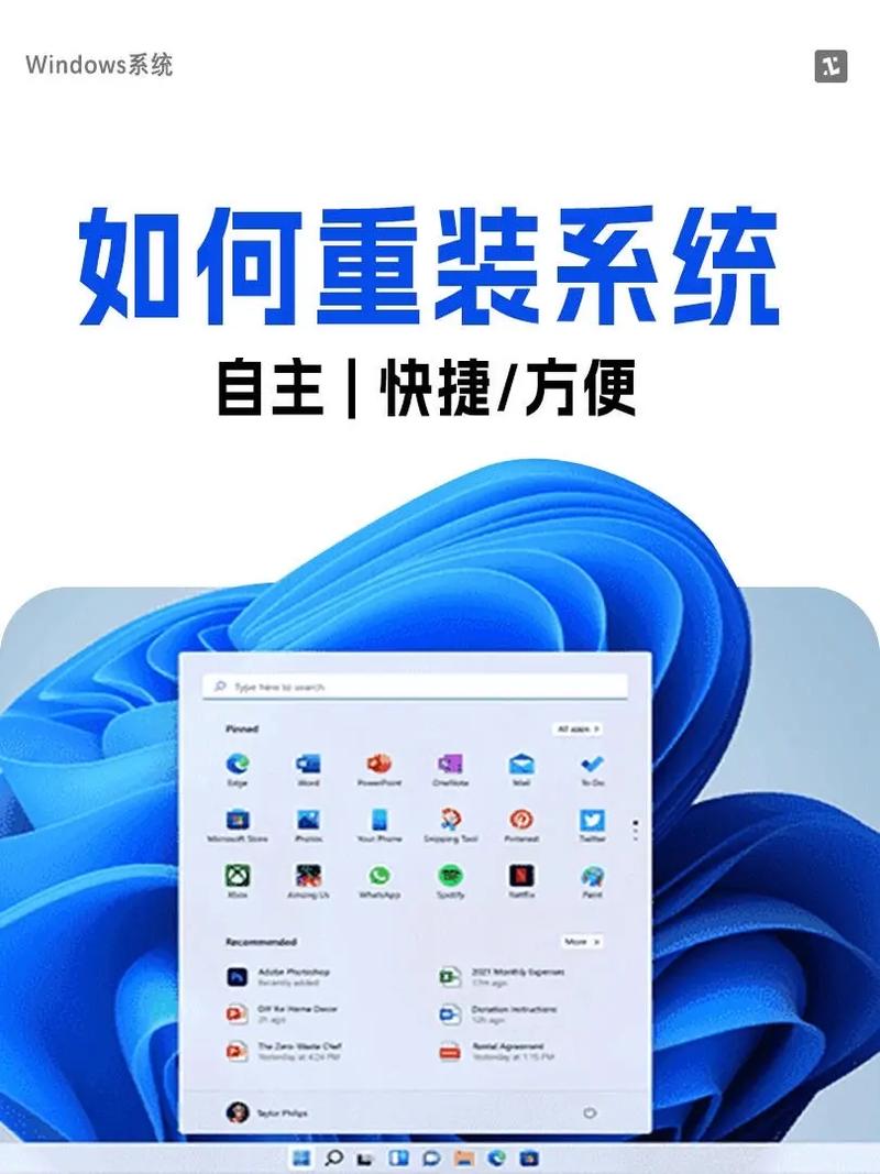系统行家一键装机官网