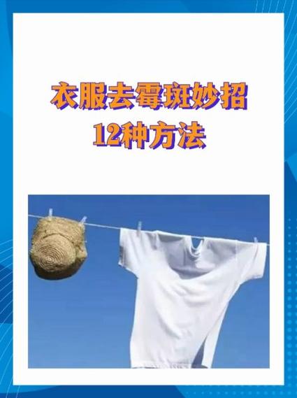 衣服上的霉斑怎么去除小窍门缩略图