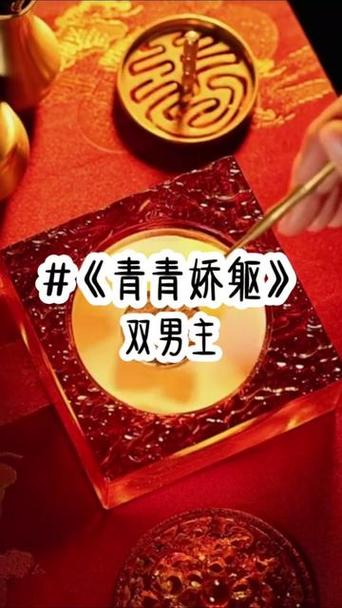 摄政王(双*,,)贺知修截图