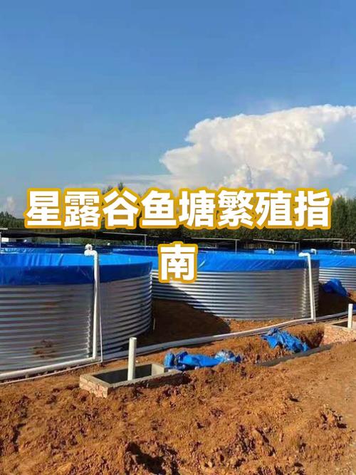 星露谷物语鱼塘怎么用
