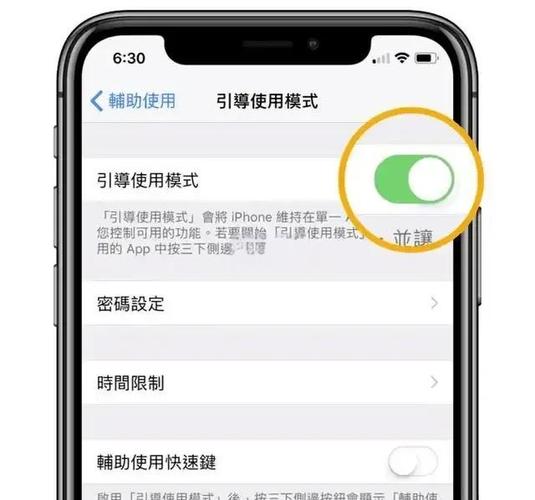 苹果x引导式访问怎么退出
