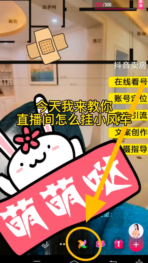 抖音挂小风车需要什么条件缩略图