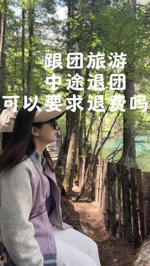跟团游去不了如何退款