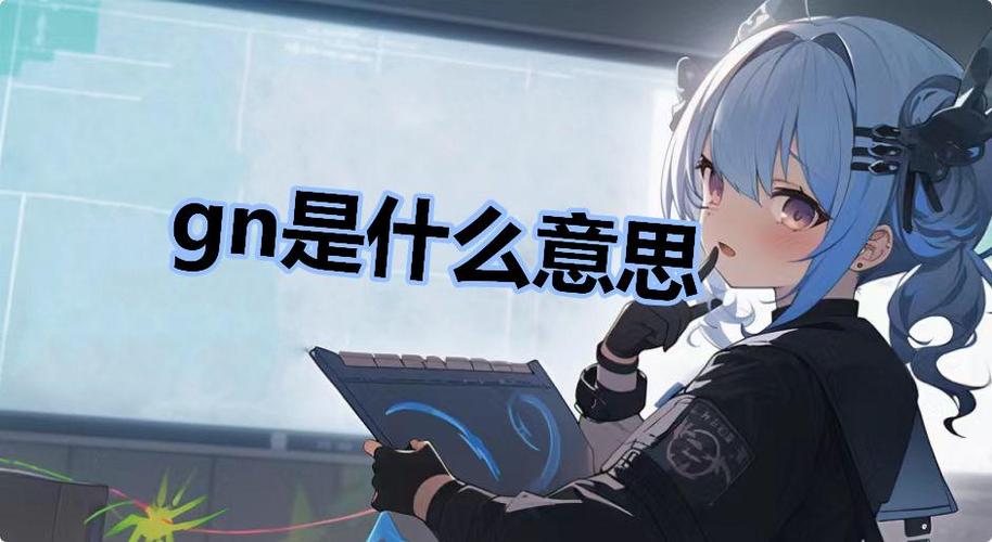 gn是什么意思梗