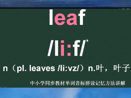 leaves与leaf