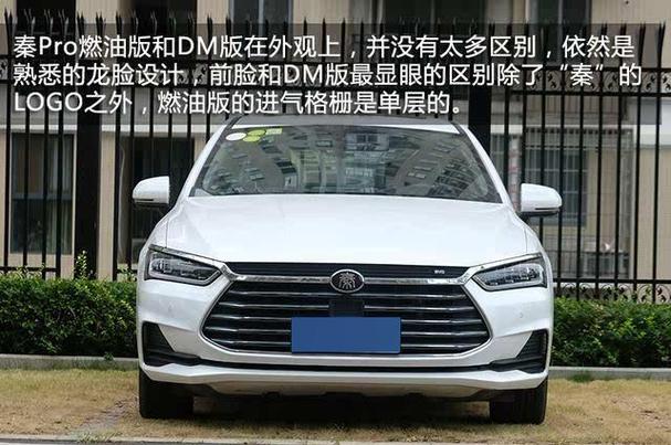 秦pro燃油版有人买吗