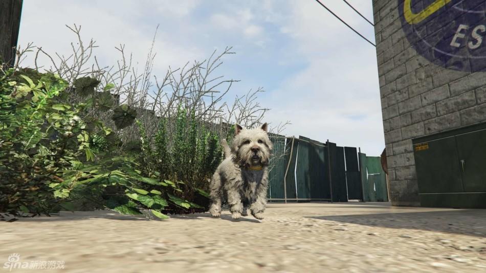 gta5怎么变成动物