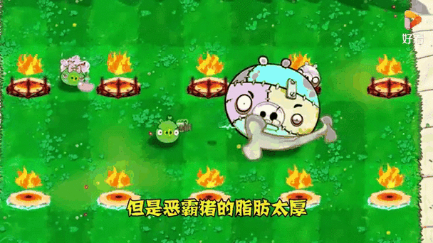 猪植物大战僵尸视频