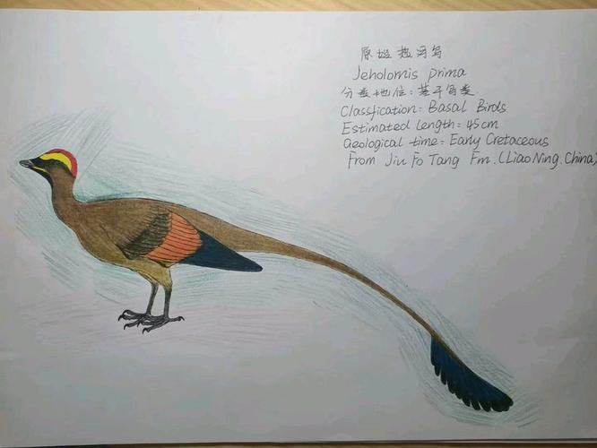 poppy二(2006)狐狸菜单游戏截图