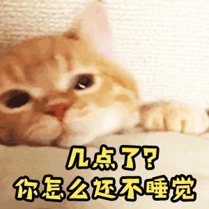 睡不着的夜猫子的句子