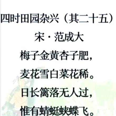 有关描写杏子的文章