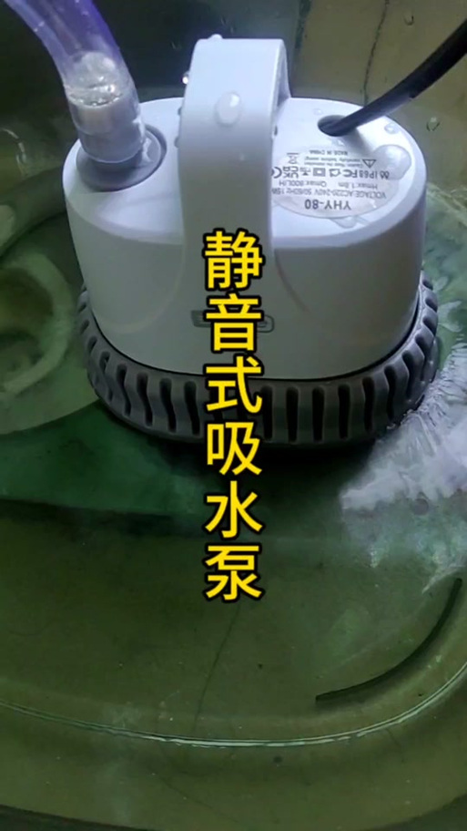 鱼缸过滤泵嗡嗡噪音大缩略图