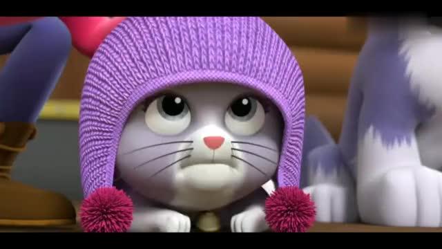 圆丽丽猫的猫老师最新照片