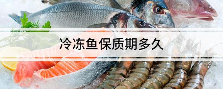 冷冻鱼保质期多久