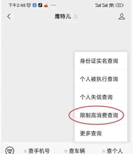被限制高消费人员查询截图