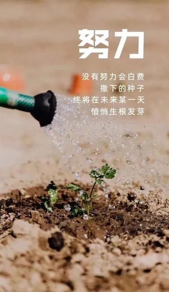 励志暖心视频高清