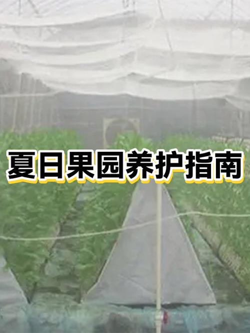 开果园一年能赚多少