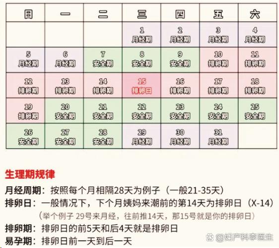 月经表安全周期计算图标