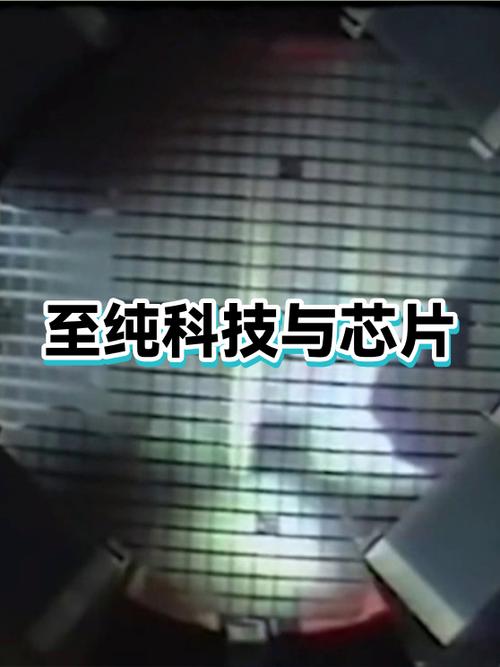至纯科技与芯片
