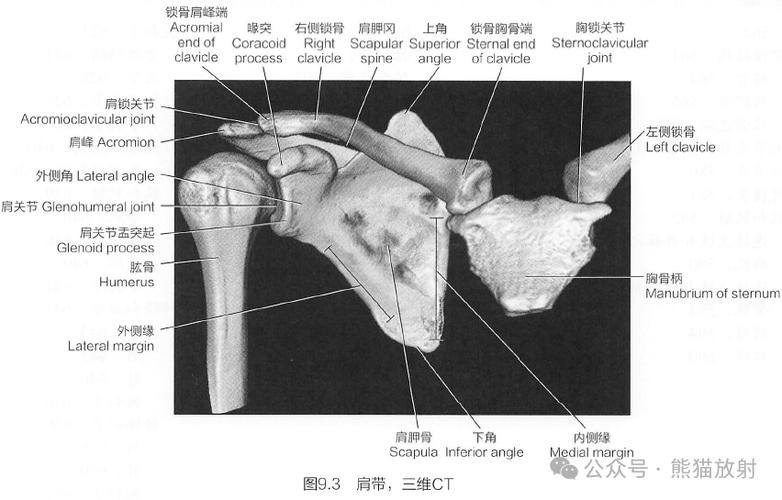 耳机频繁断连一招恢复