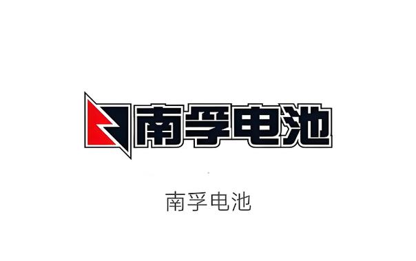 南孚电池是碱性电池吗截图