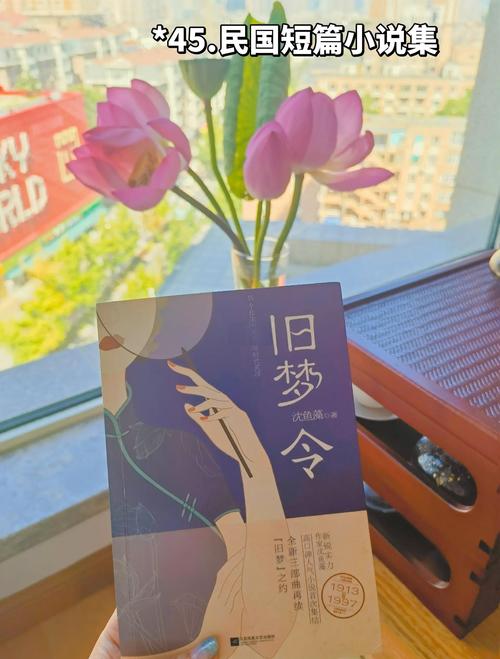 婉星碎尽旧梦难寻小说