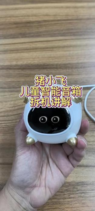猪小飞机器人说明书截图