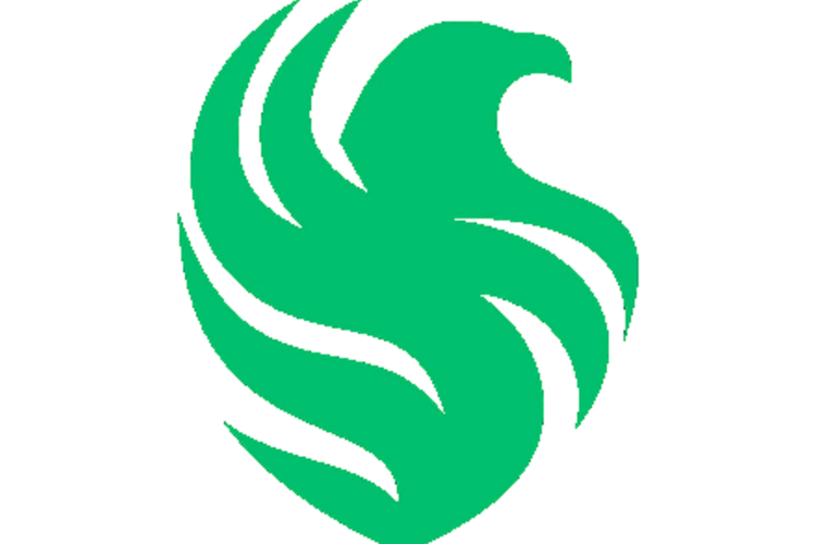 falcons战队