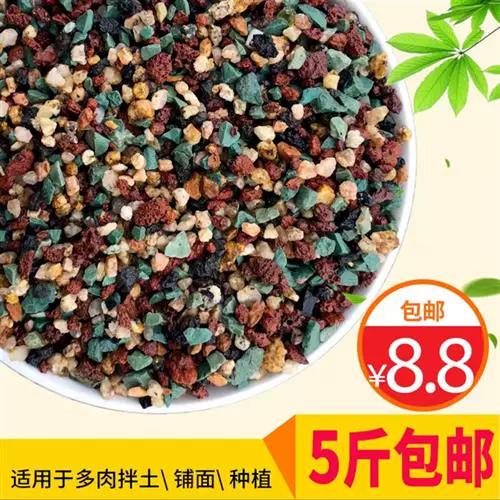 养兰花用什么土