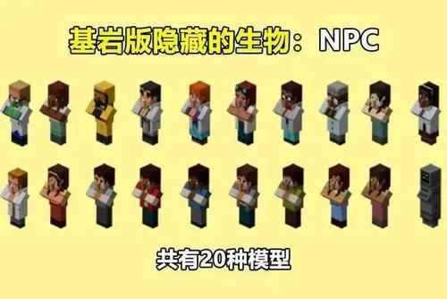 我的世界怎么隐藏玩家头上的名字