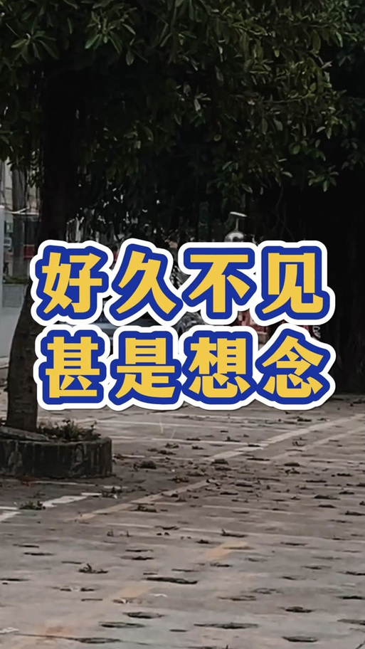 好久不见甚是挂念怎么表达