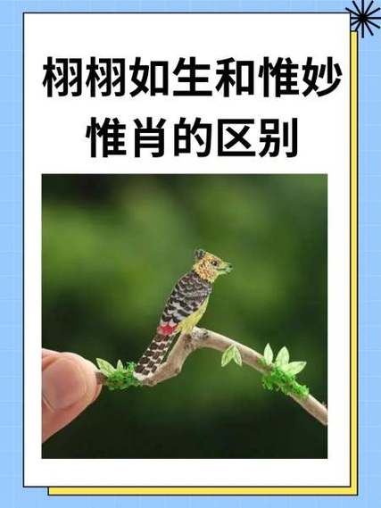 惟妙惟肖形容画画怎么说