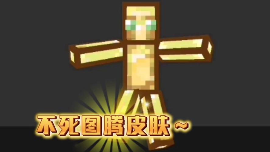 我的世界升级版不死图腾mod