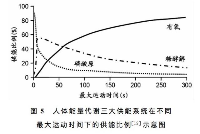 人体运动时的直接能量来源是