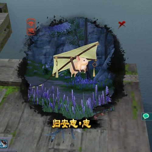 寇岛奇遇