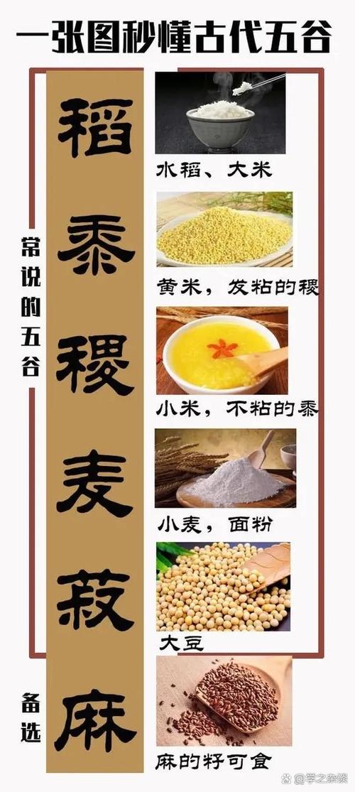 什么叫五谷缩略图