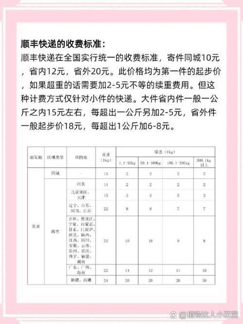顺丰快递明细清单在哪图标