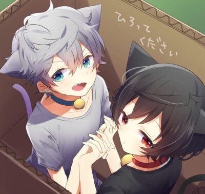 soul男头像粉猫耳