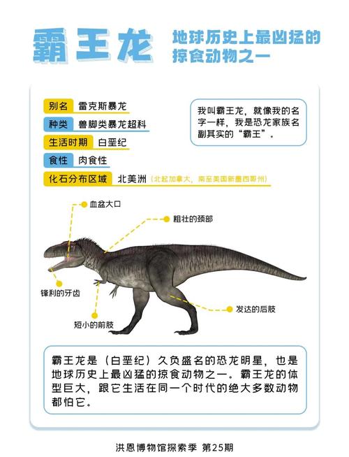 解说恐龙