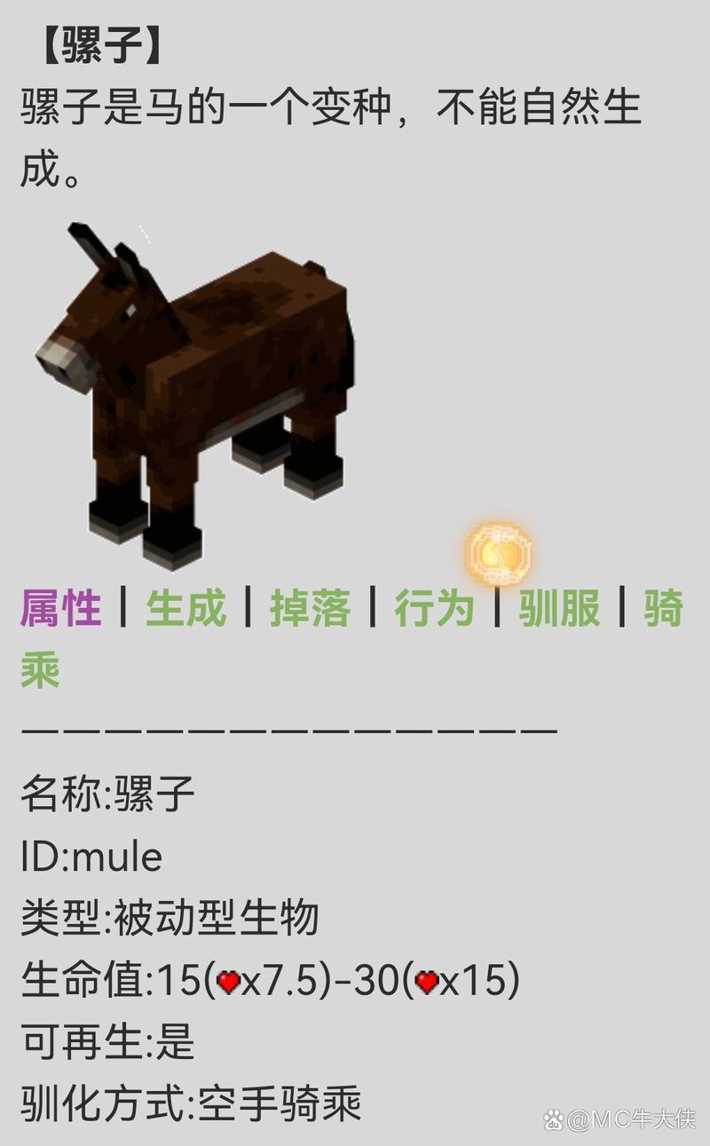 mc骡子自我介绍