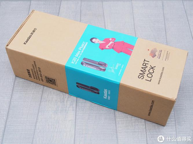 凯迪仕进入管理模式输入什么图标
