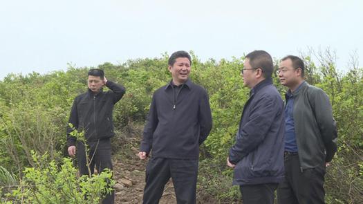 南昌湾里区历任区长