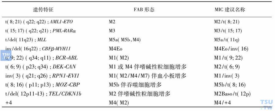 mic什么意思医学