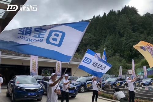 联动云运维专员